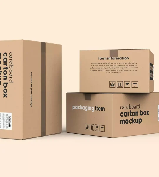 Thùng Carton đóng gói chuyên dụng